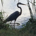 Lynda Barrow - @melbourneflalife - Instagram