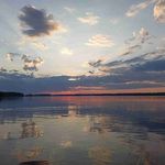 Lynda Bruce - @lyndabruce546 - Instagram