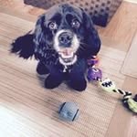 Lynda Burrello - @burrellolynda - Instagram