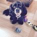 Lynda Burrello - Facebook