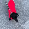 Linda Burt - @lindtok - TikTok