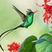 Lynda Burt - Facebook