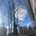 Lynda Fox Burton - @lynda.burton - Instagram