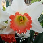 Lynda Richardson Burt - @lyndaburt61 - Instagram