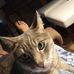 Linda Christopher - Facebook