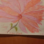 lynda christopher - @lyndachristopherwebb - Instagram