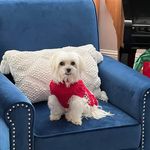 Lynda Coffman Peach - @nana_loves_thor - Instagram