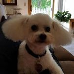 Lynda Langdon Conley - @conleylynda - Instagram