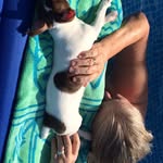 Linda Craft Tetrick - @prnsezz - Instagram
