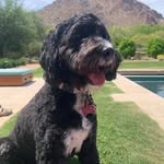 Linda Cushing - @linda.cushing.925 - Instagram