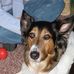 Linda Cushing - Facebook