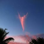 Linda Cushing - @lindacushing65 - Instagram