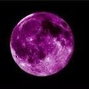 Lynda Davidson - @purplemoon003 - TikTok
