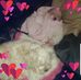 Lynda Kirby Deane - Facebook