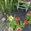 Linda Dodd - @linda.dodd0 - TikTok