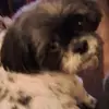 Lynda Dodd - @lynda.dodd - TikTok