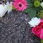 Lynda Dodd - @lynda.dodd - Instagram