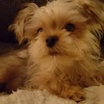 Lynda Dodds - Facebook