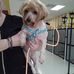 Linda Dodson - Facebook