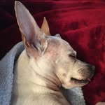 Linda Dodson - @lindadodson2009 - Instagram