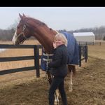 linda dowd - @lindadowd1 - Instagram