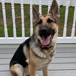 Lynda O'Connell Downs - @lynda4downs - Instagram