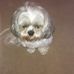 Lynda Eddy - Facebook