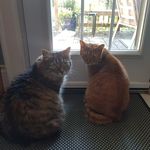 Lynda Eddy - @lmeddy - Instagram