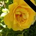 Lynda Eddy - Facebook