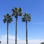 Linda Feldman - @linda_wood_feldman - Instagram