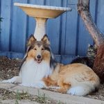 Lynda Frederick - @lynda.frederick1959 - Instagram
