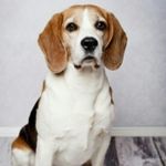 Lynda Fuller - @lyndafuller71 - Instagram