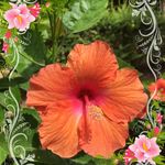 Lynda Fuller - @lynda.fuller.7146 - Instagram