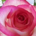 Lynda Gamble - @cool.grandma789 - Instagram