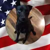 Linda Gary - @linda.gary20 - TikTok