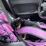 Lynda Gates - @lyndagates556 - Instagram