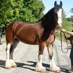 Linda Gentry - @lindaagentry - Instagram