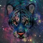 Lynda Gentry - @lynda_gentry_comer - Instagram