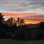Lynda Gentry - @gentrylynda - Instagram