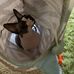 Linda Harrell - Facebook
