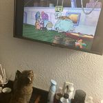 Linda Hess - @linda.hess.3114 - Instagram