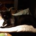 Linda Hess - Facebook