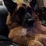 Lynda Hoffman - @lynda.lou.826 - Instagram