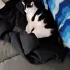 Lynda Hoffman - @lynda.hoffman - TikTok
