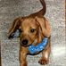 Linda Curtis Jarrell - Facebook