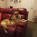 Lynda Johns - Facebook