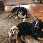 Lynda Lambert - @signaturemortgage - Instagram