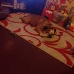 lynda long - @lynda7394 - Instagram