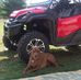 Lynda Mann - Facebook