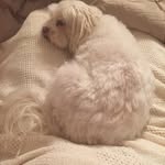 Lynda Marks - @markslynda - Instagram